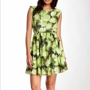 NWT XL PAPILLION DRESS